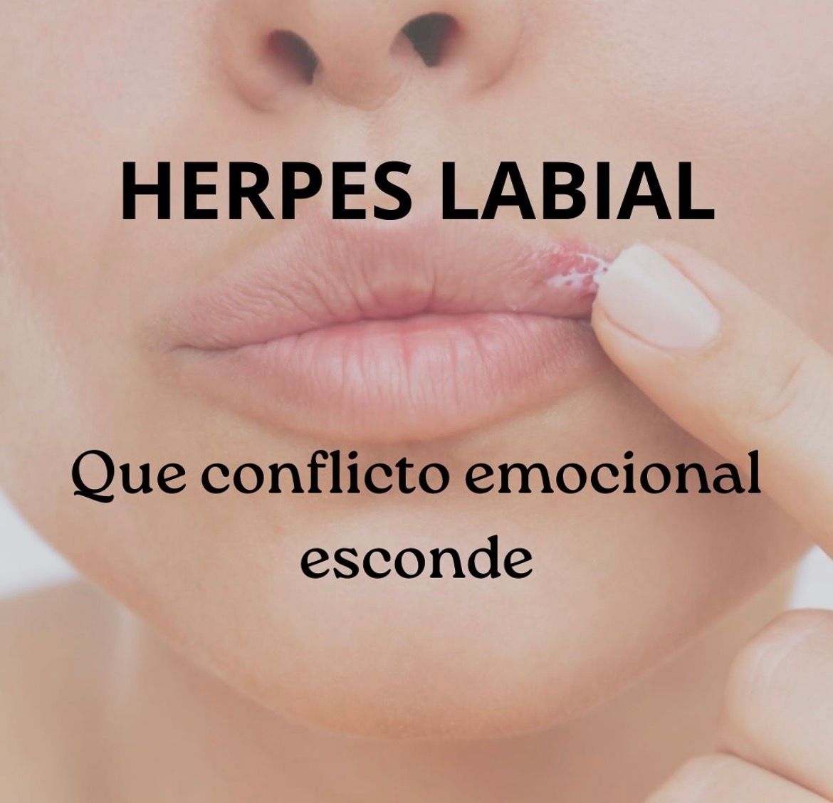 Olga Barberá Monserrat-1