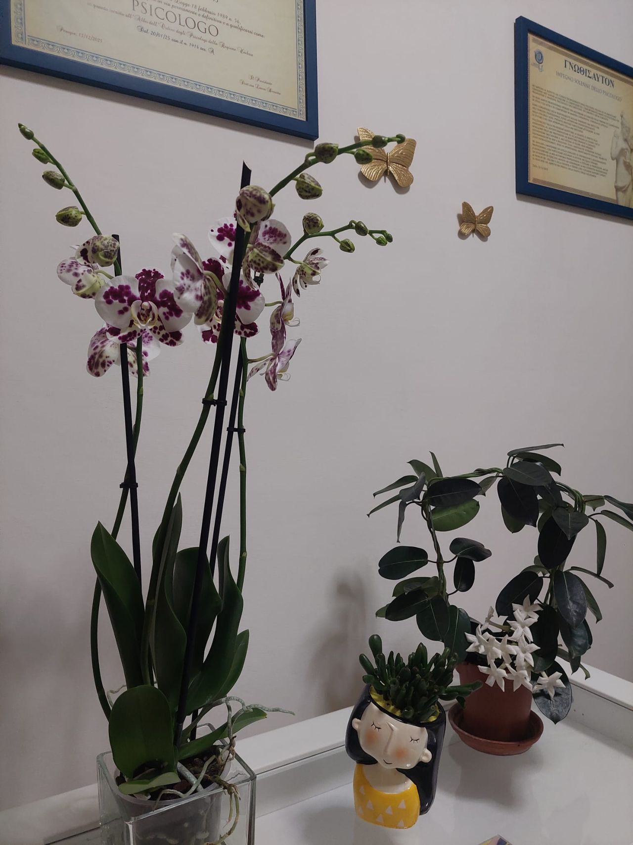 Michela Massettini-2