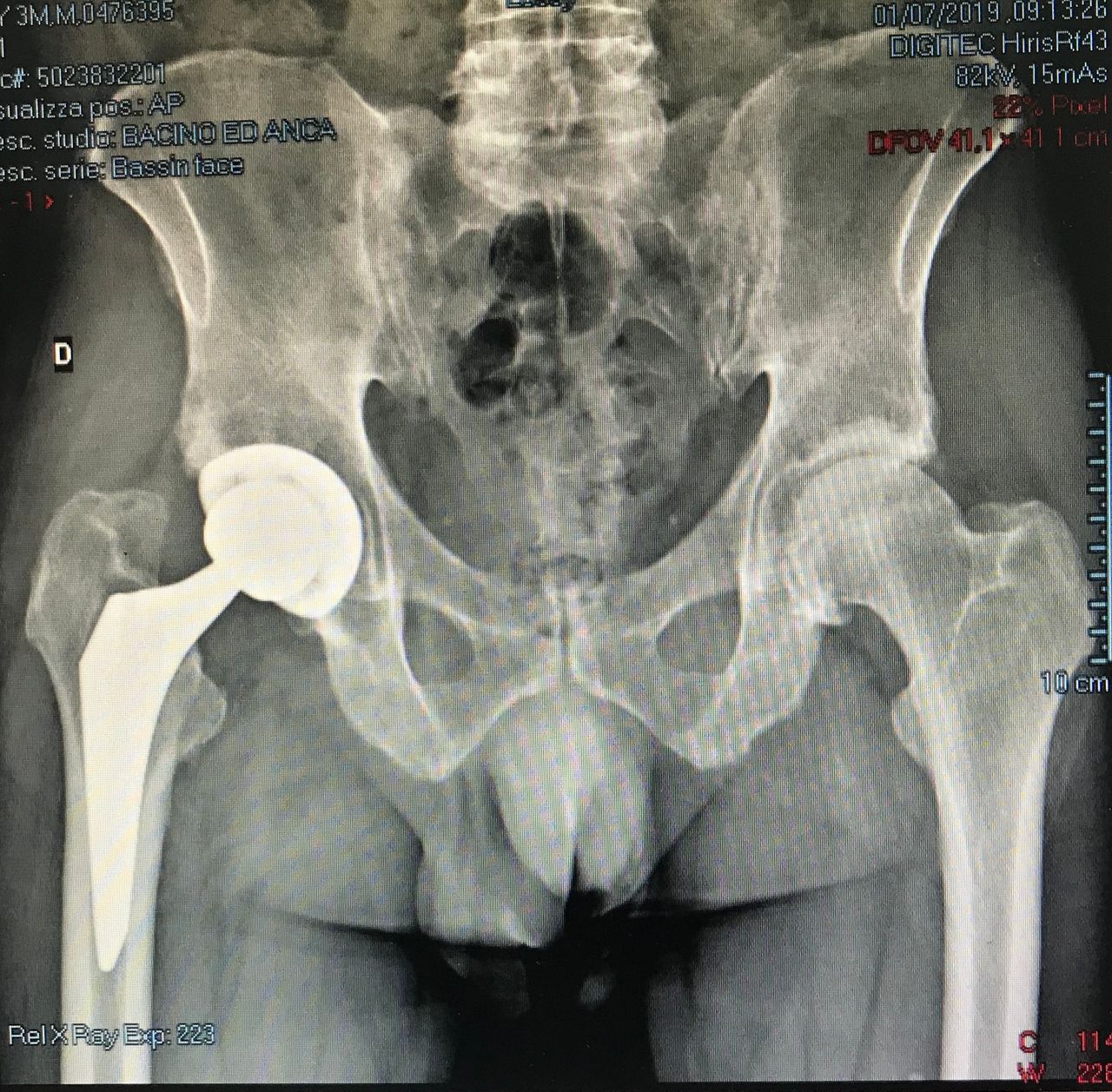 Alberto Maria Bonifazi-11