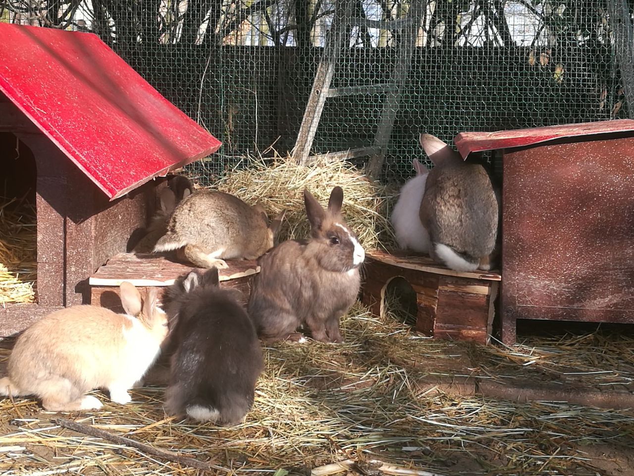 Sonia Sara Civallero-11