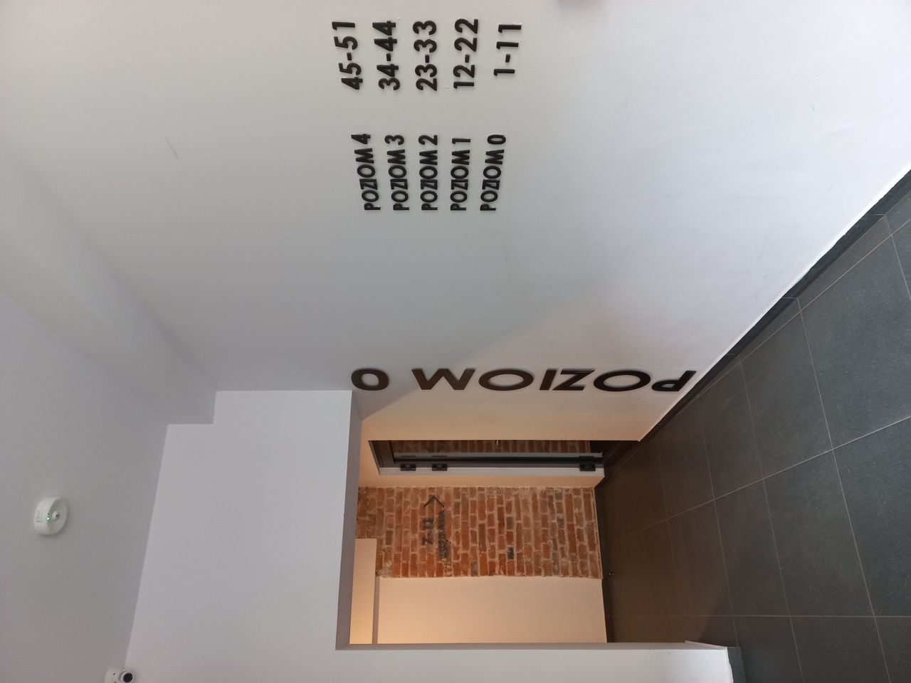 Magdalena Trzcionka-1