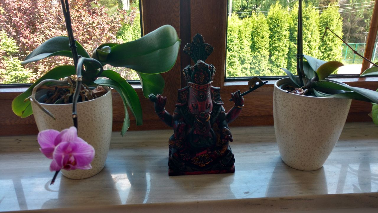 Joanna Andrzejewska-0