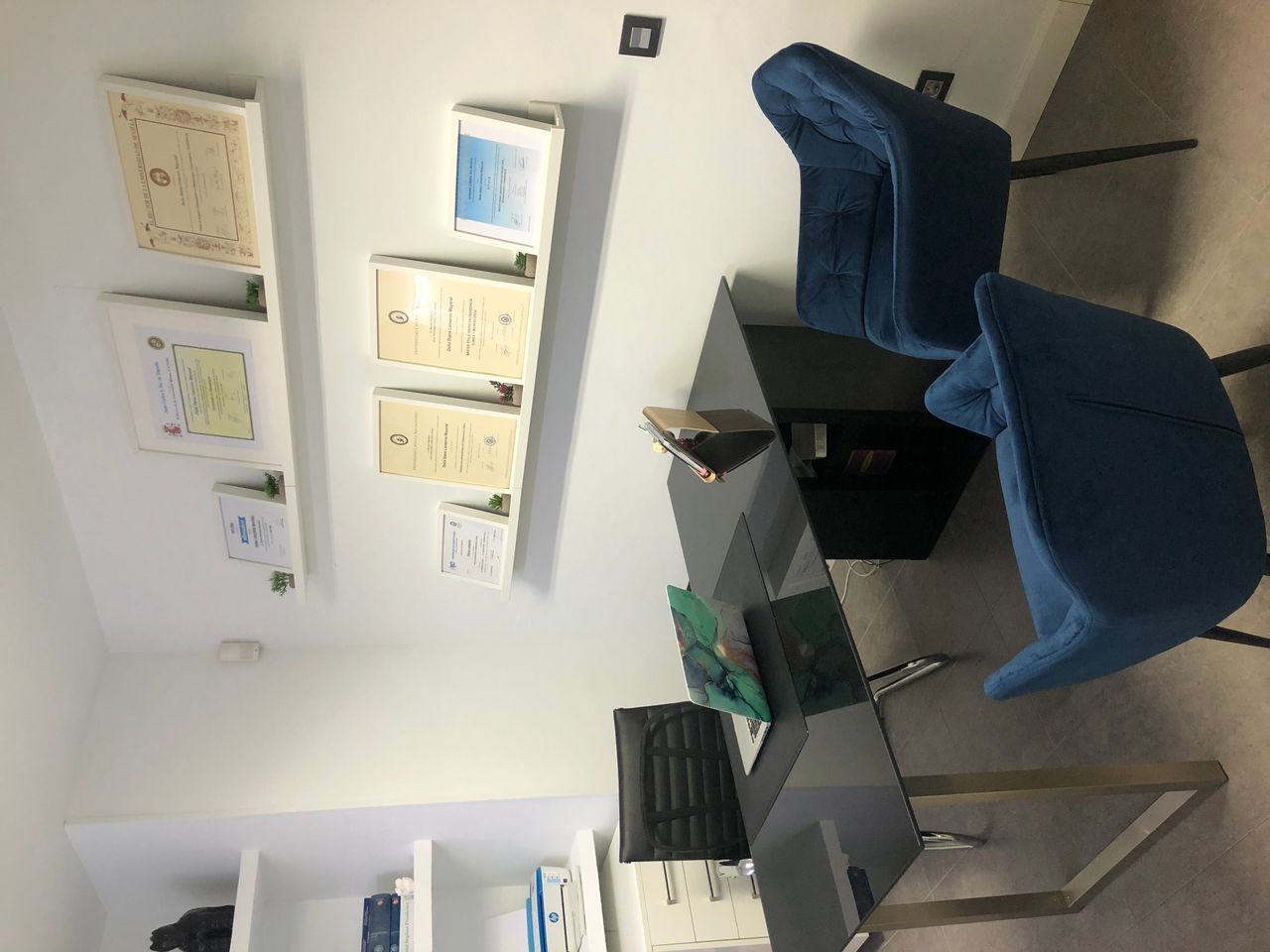 Diana Lanseros Mayoral-10