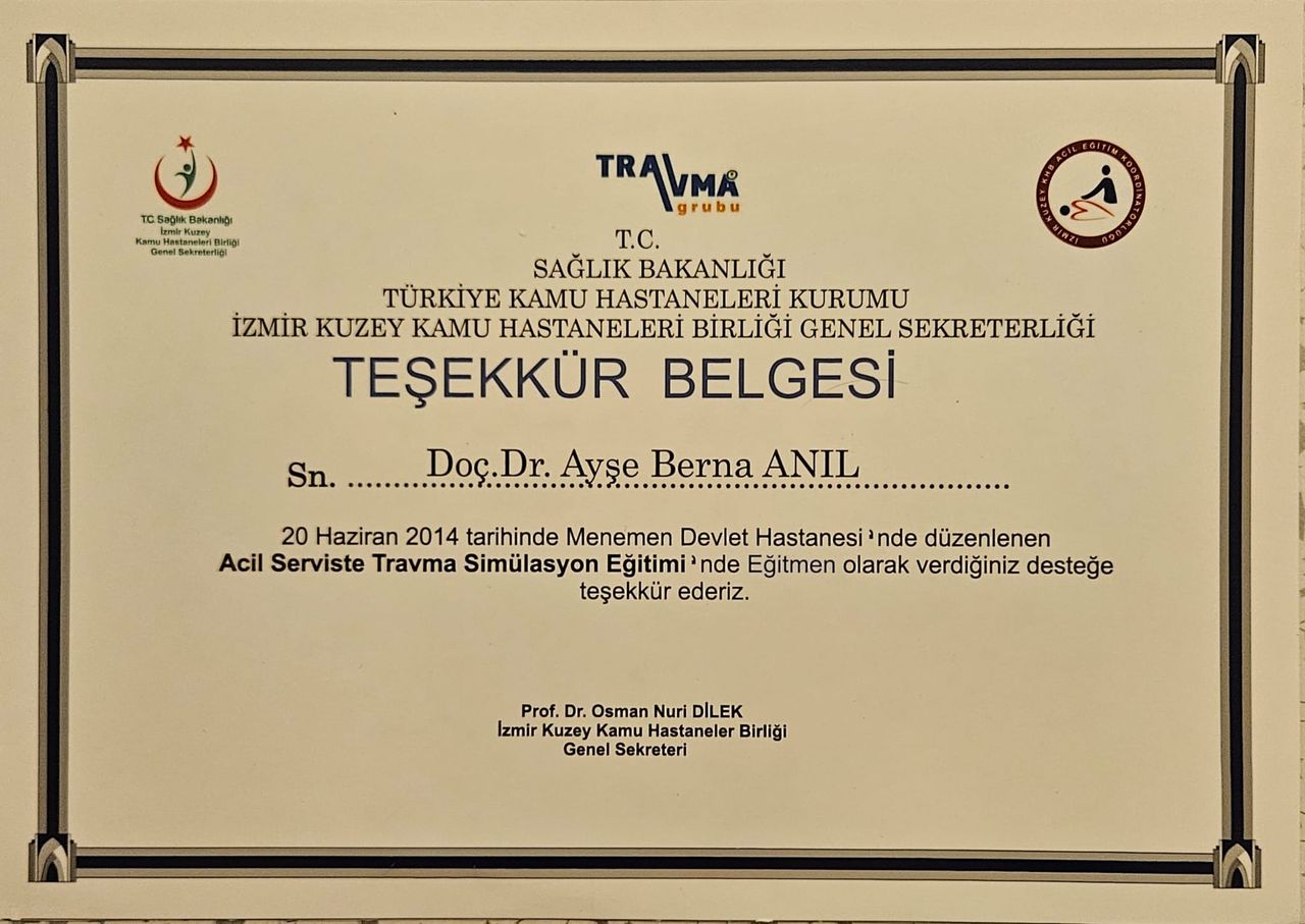 Ayşe Berna Anıl-20