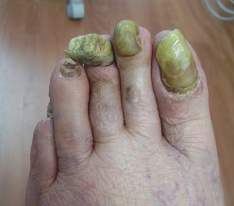 Kassandra Nicolosi-30