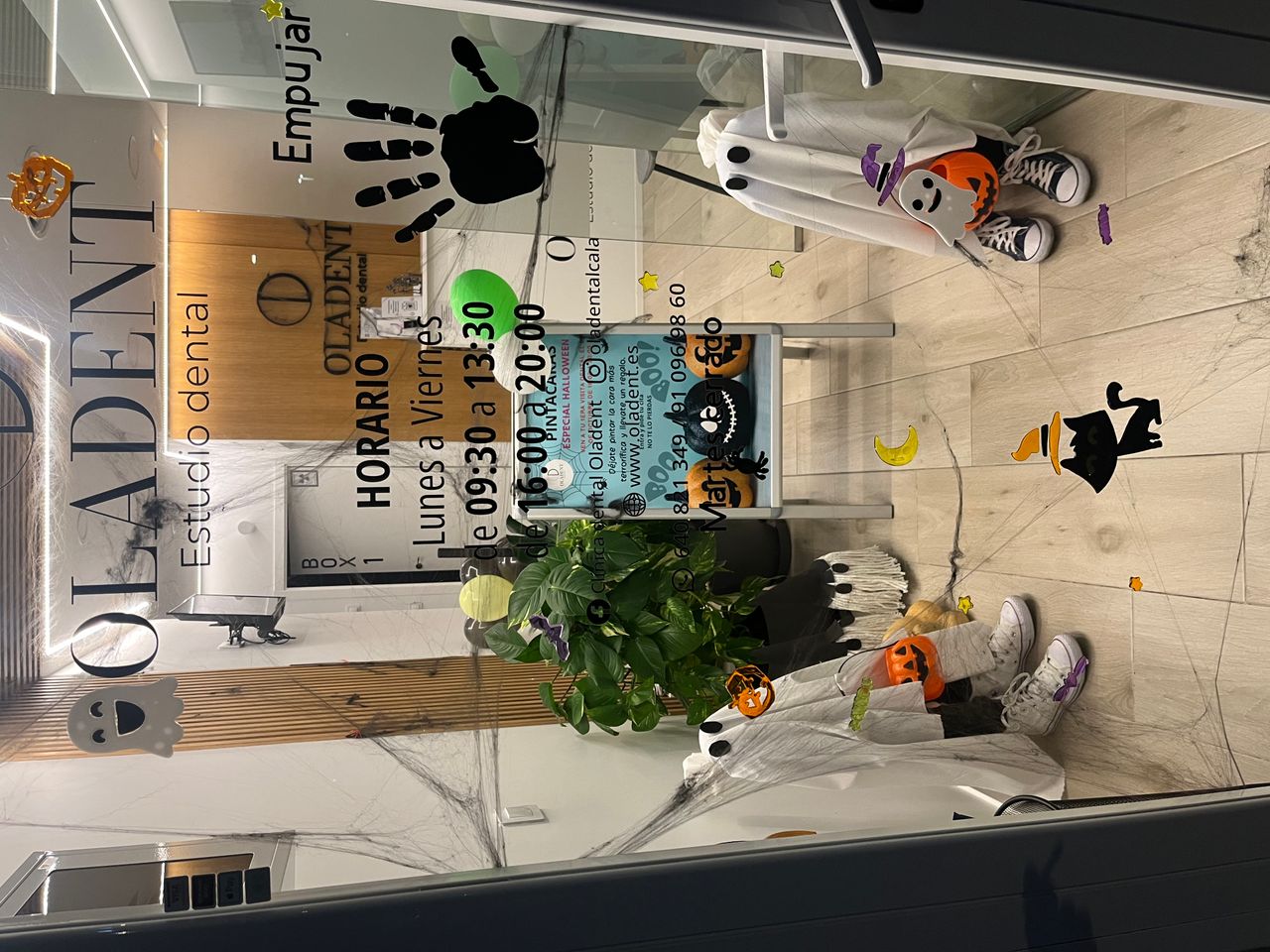 Carolina Olaizola-13