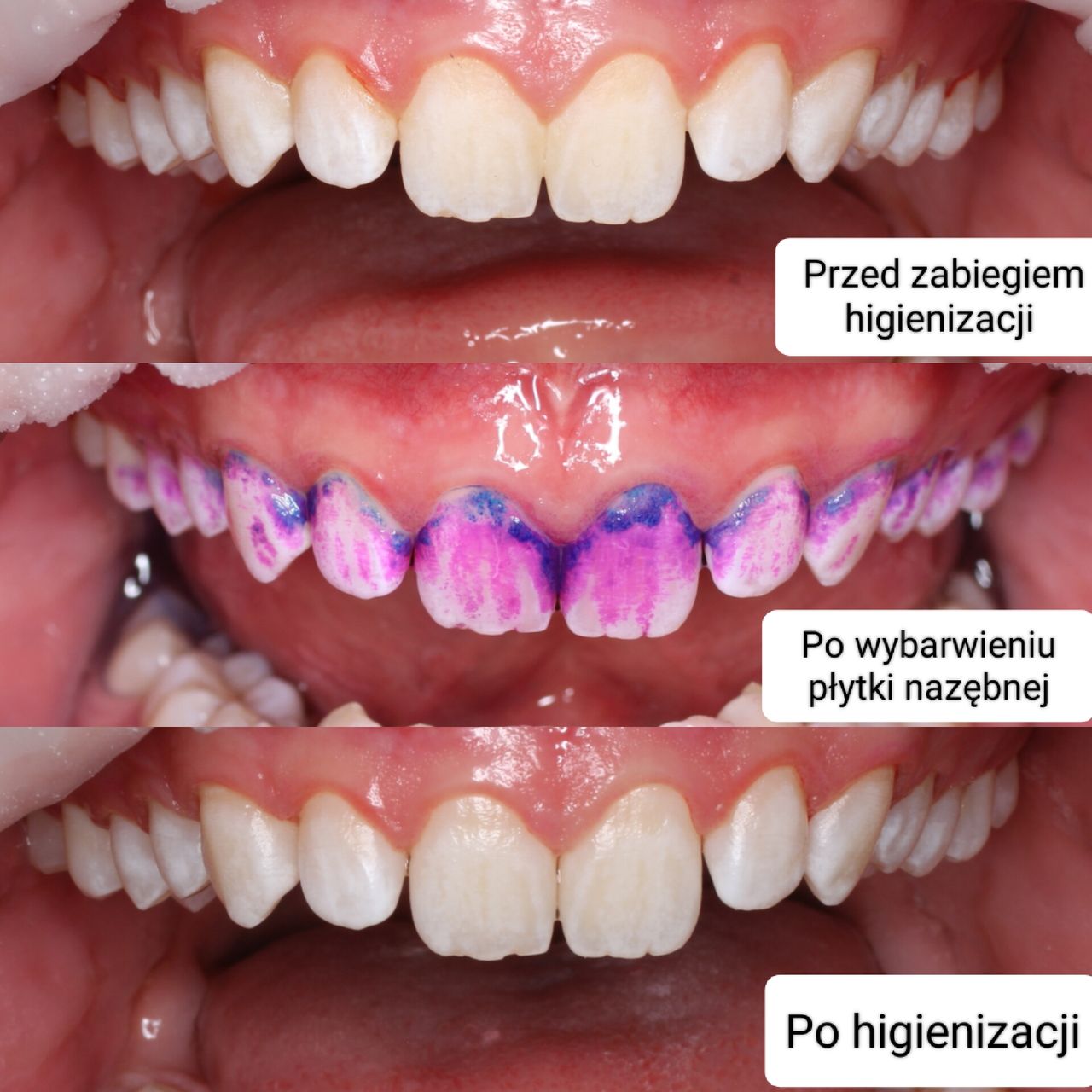 Aleksandra Bobrovskaya-9