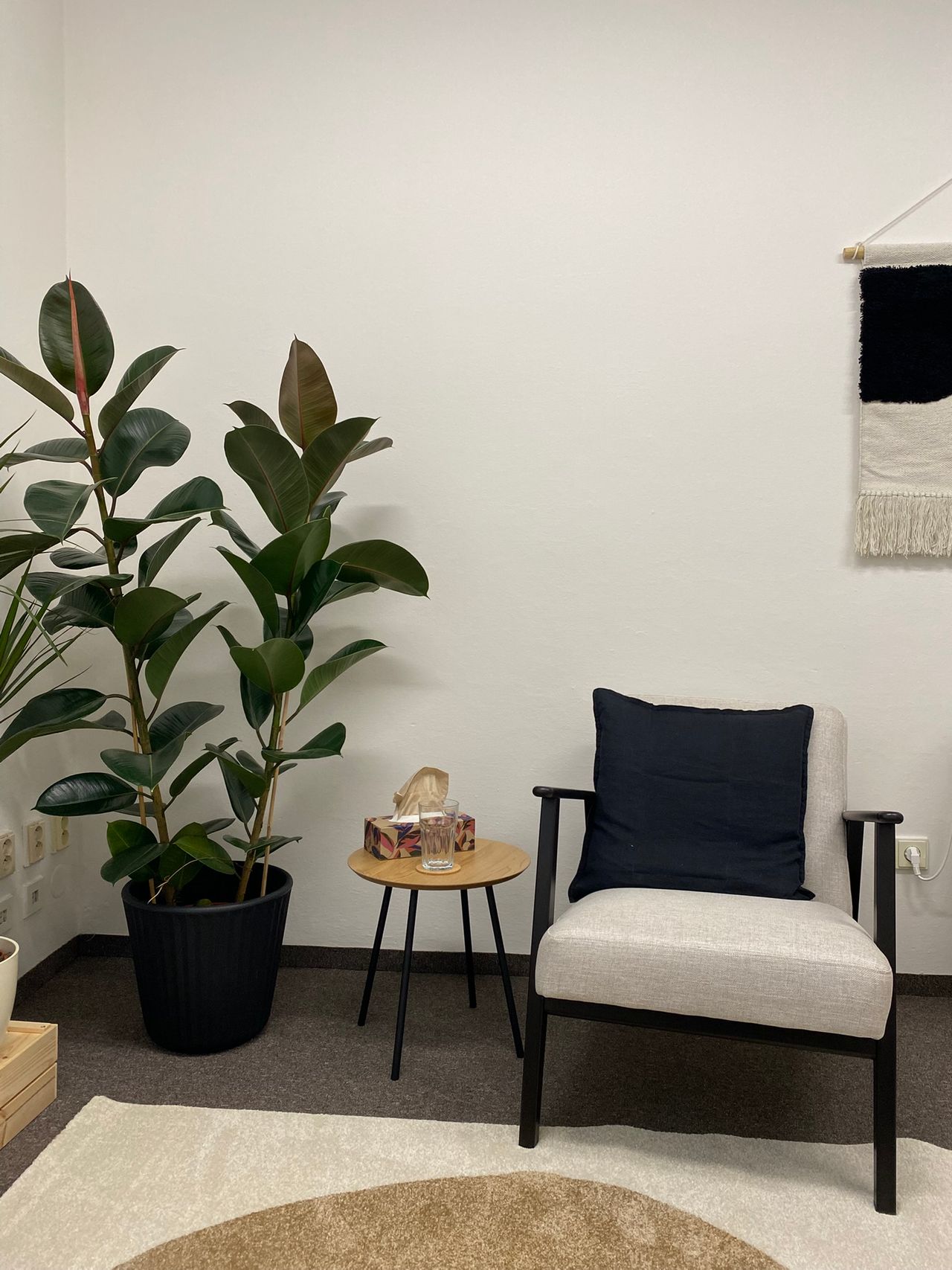 Kateřina Jelenová-3