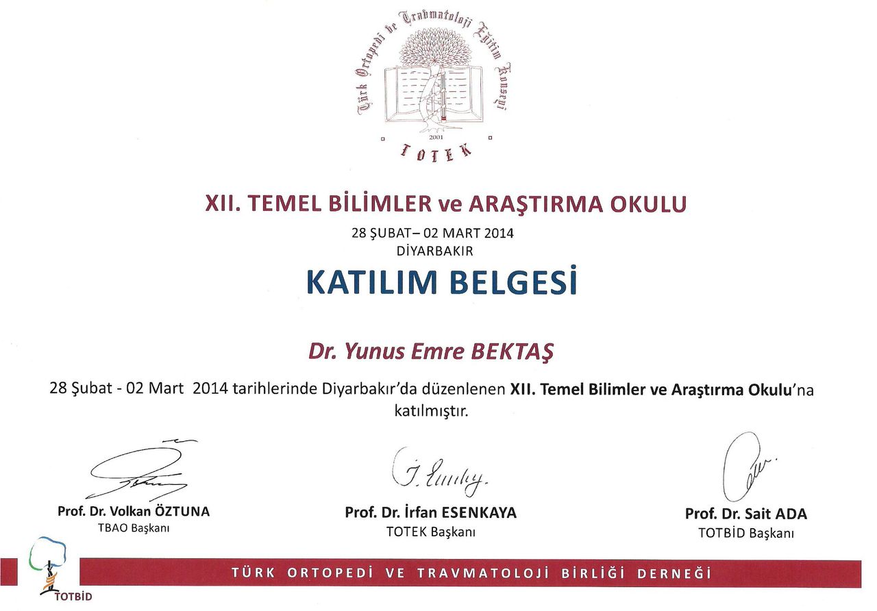 Yunus Emre Bektaş-10