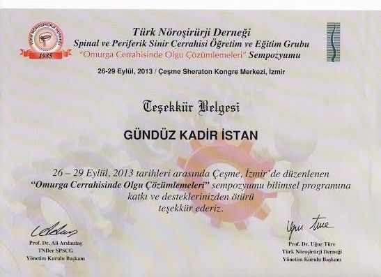 Gündüz Kadir İstan-10