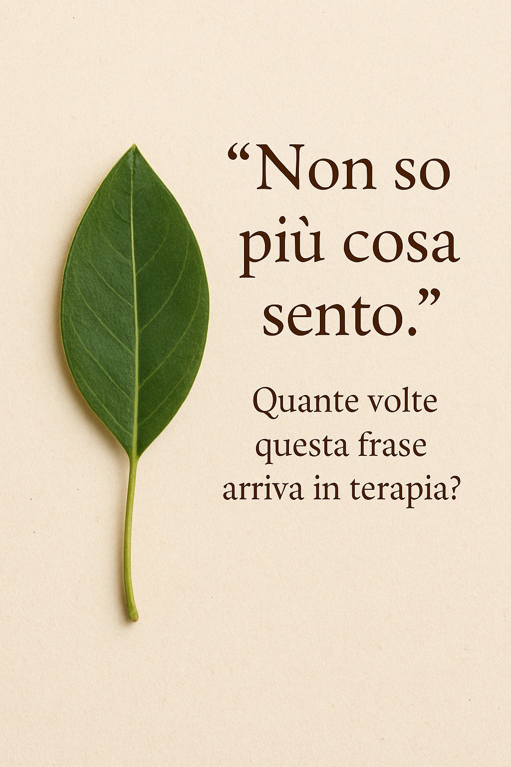 Tonia Caturano-17