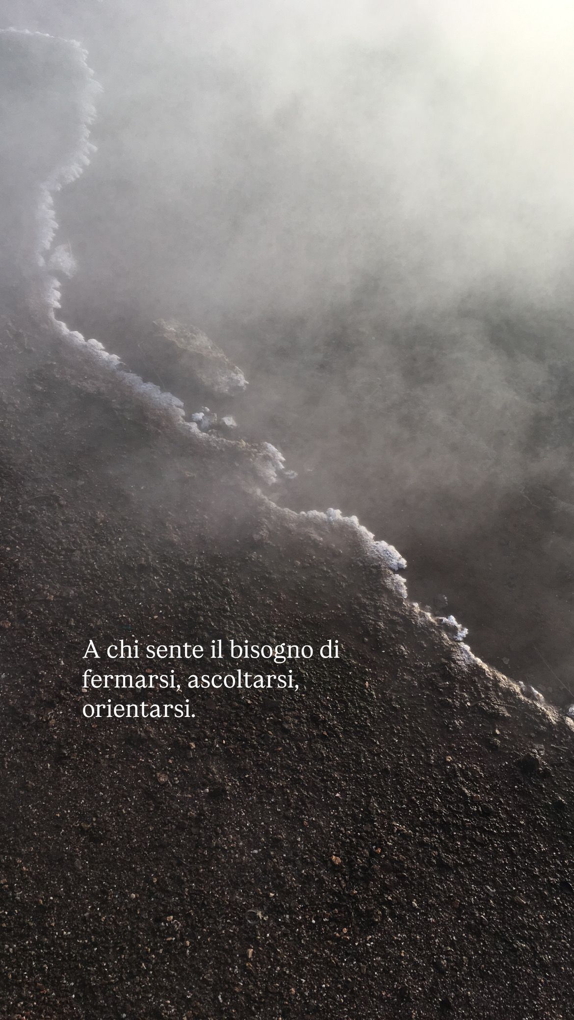 Stefania Tagliabue-4