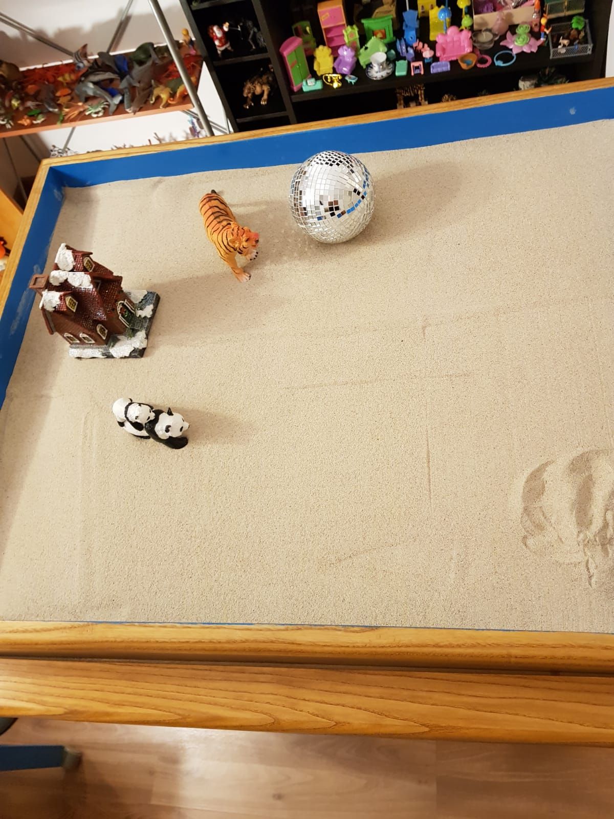 Maria Cristina Pacella-4