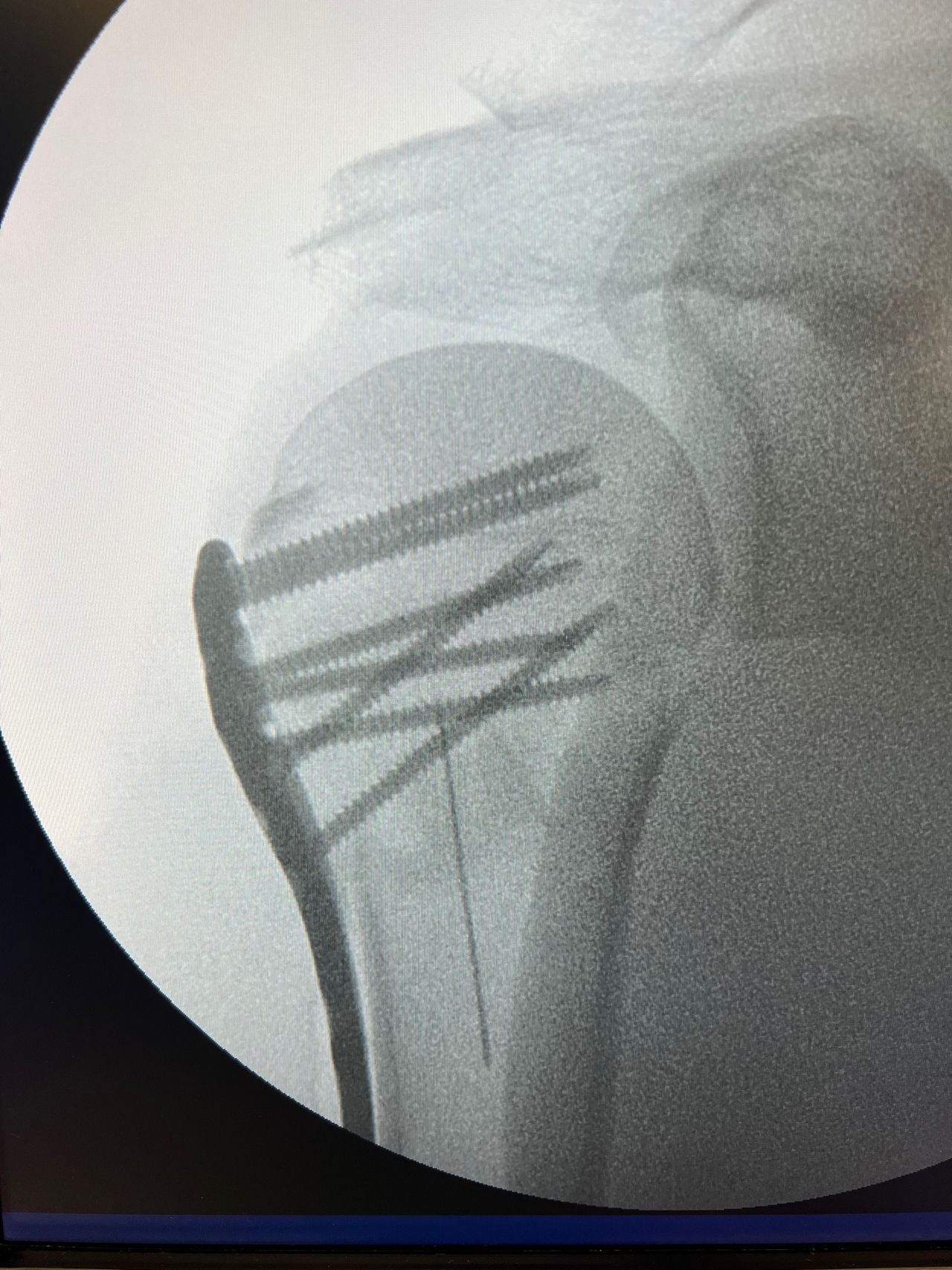 Manel Panadero Moncusi-12