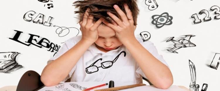 Cristina Vera Valle-3