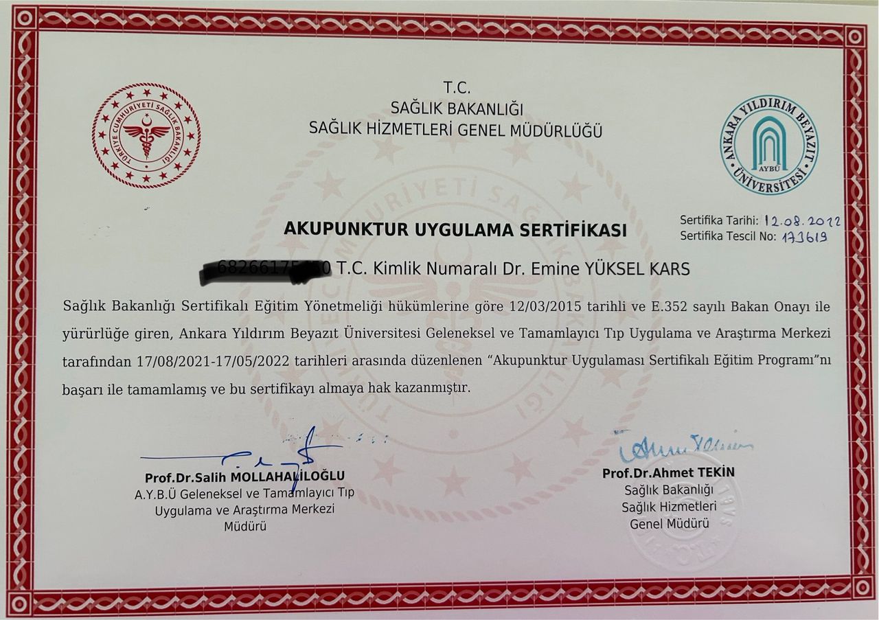 Emine Yüksel Kars-2