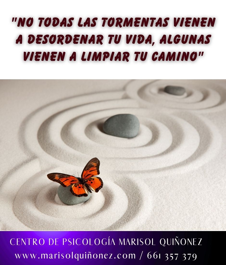 Marisol Quiñonez Quintero-112