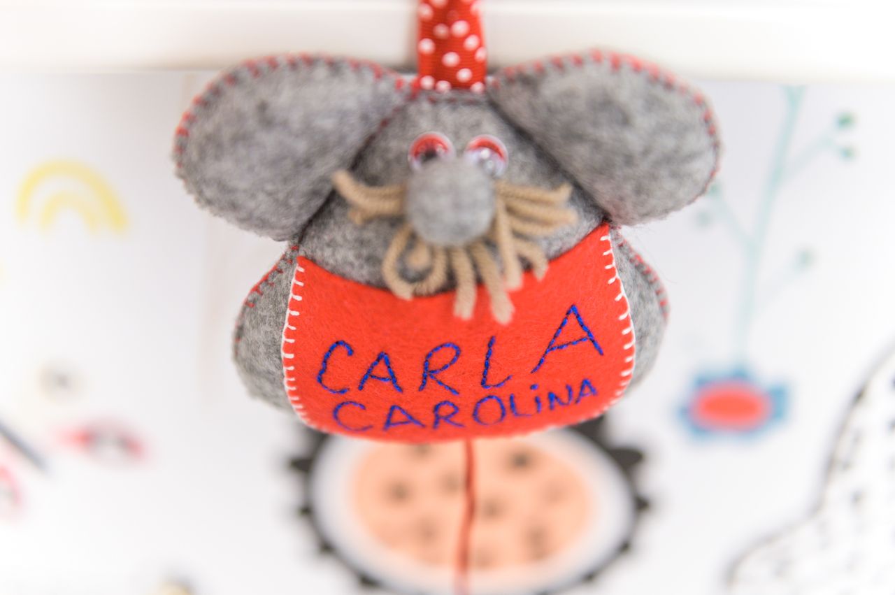 Carla Carolina Herrera Hernández-4