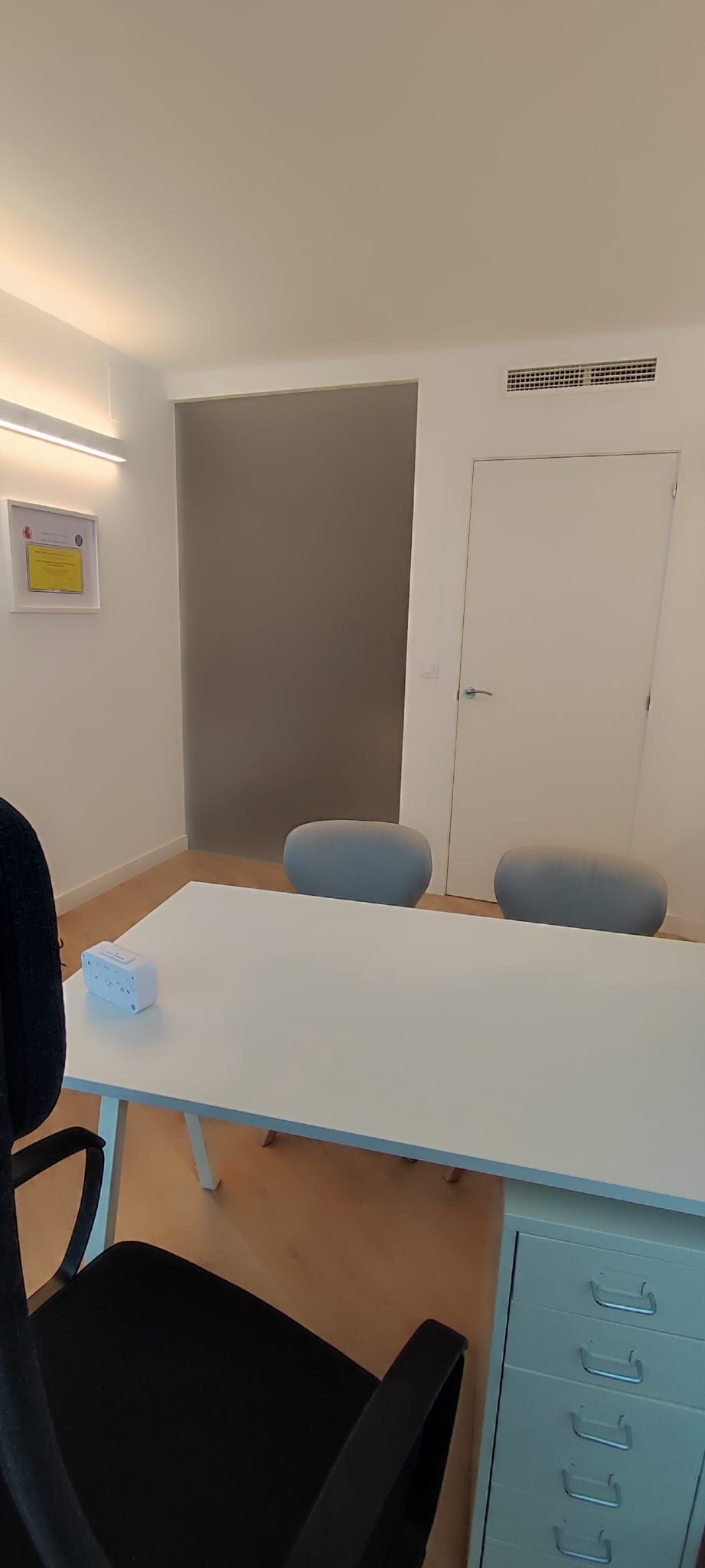 Inma Mariscal Lanaspa-6