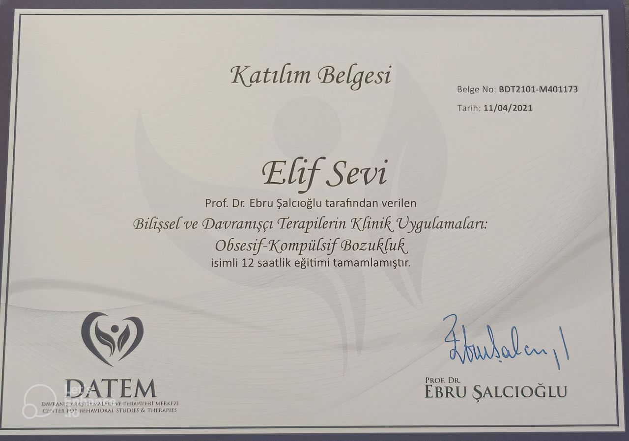 Elif Sevi Adıgüzel-18