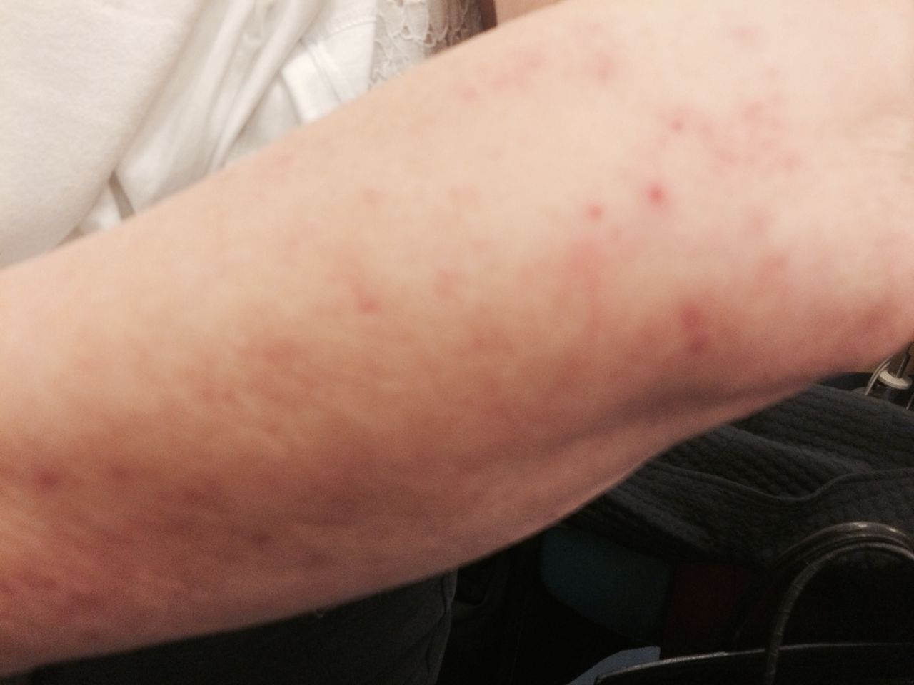 Maria Stefania Leto Barone-13