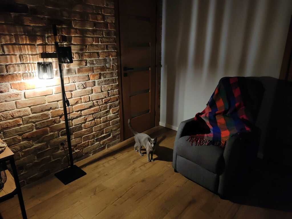 Weronika Stodulska-1