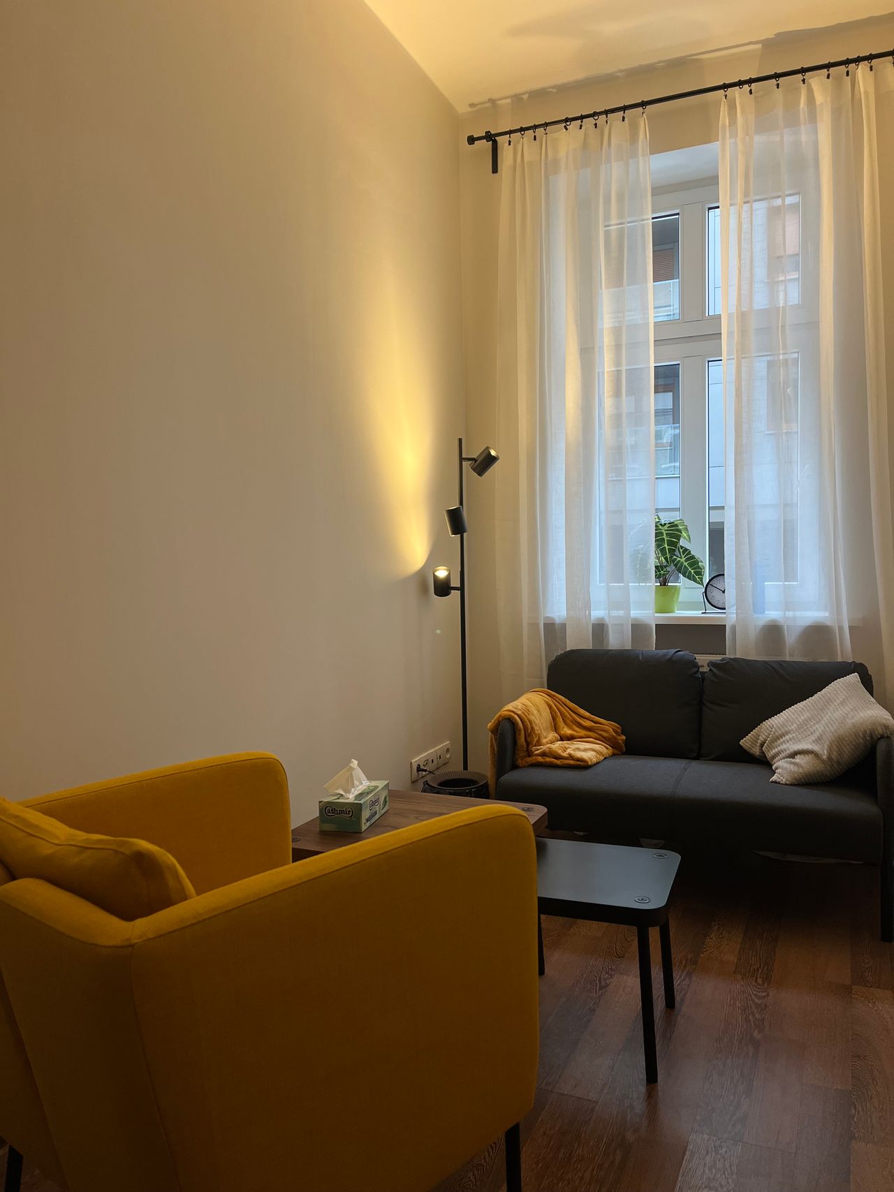 Monika Domska-Brzozowska -11