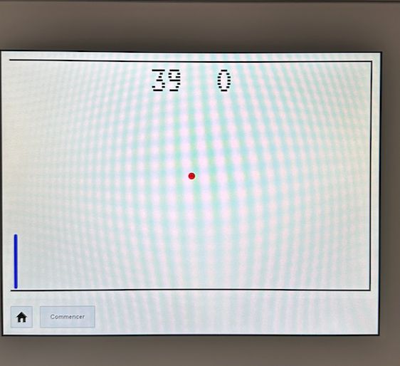 Estela Vosse García-11