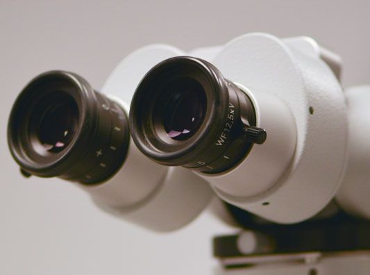 Izabela Roszkowska-Oleszek-2