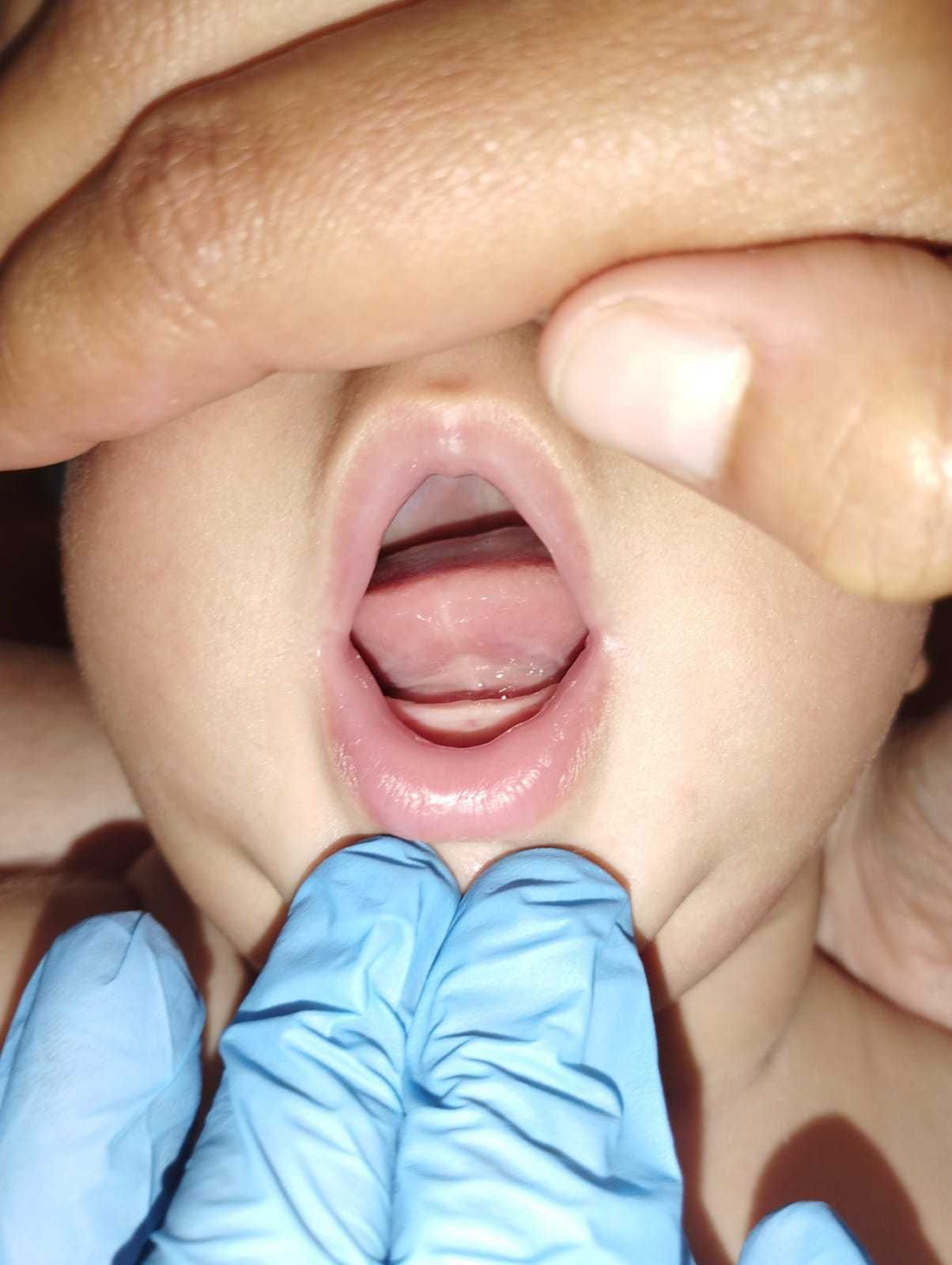 Alejandra Castillo Páramo-1