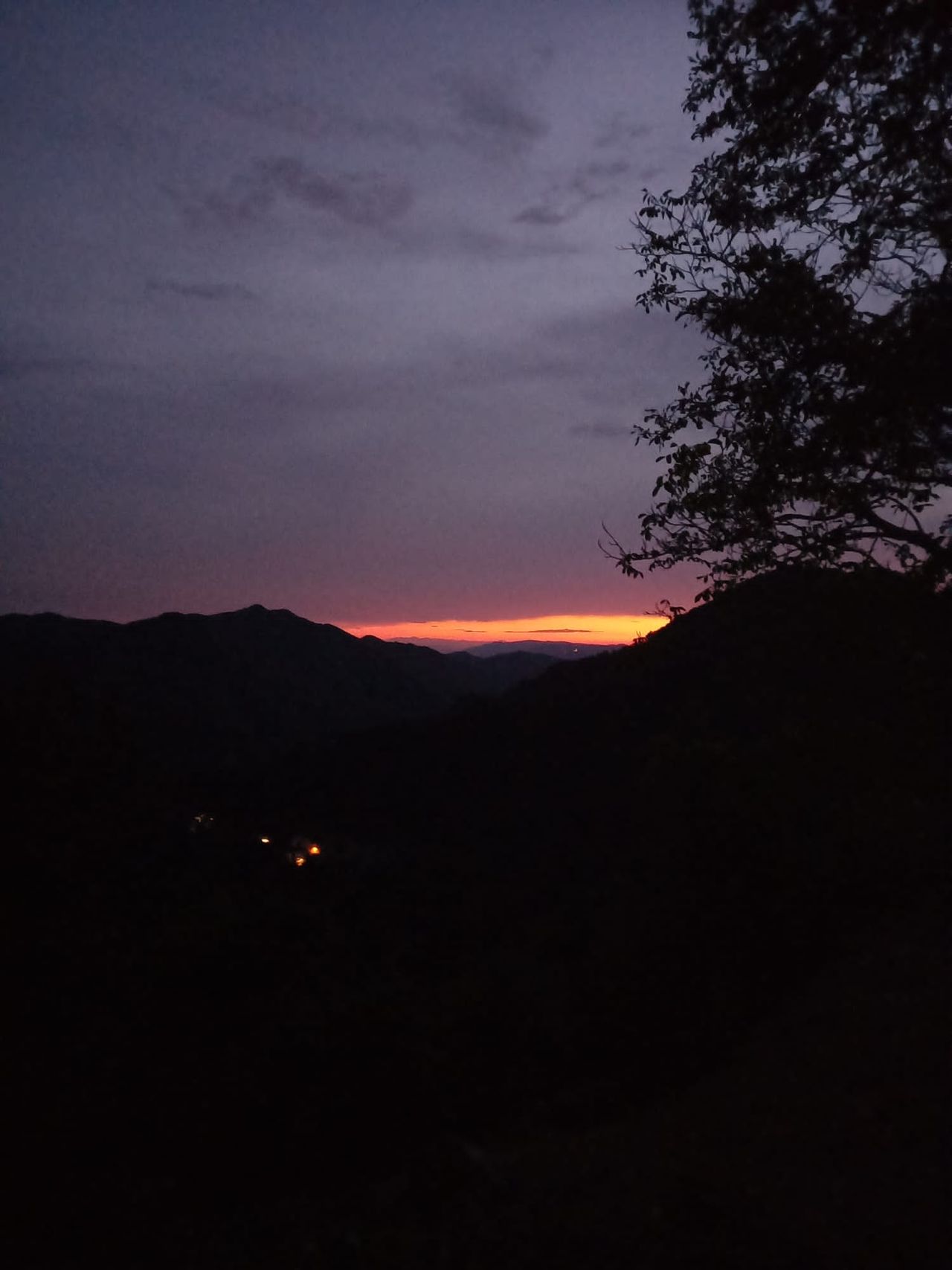 Bonaventura Luciano Manglaviti-11