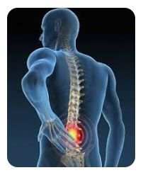 Letizia Baroncelli-0