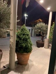 Antonella Sabatini-5