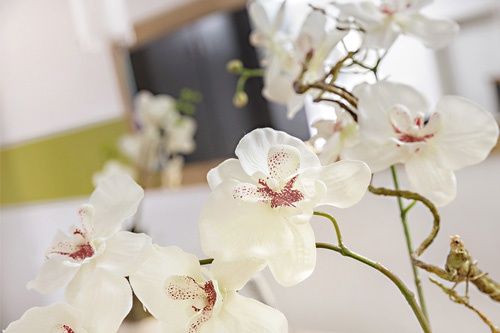 Frank Theodor Lütgen-3