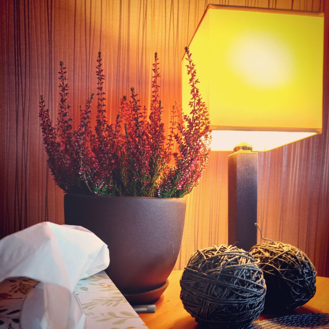 Marzena Janiszewska-4