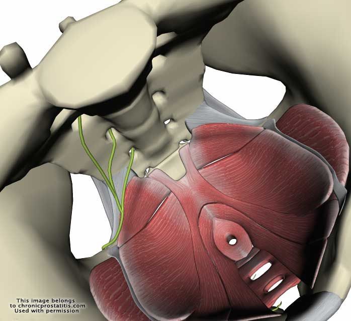 Maria Josefa Martinez Payá-4