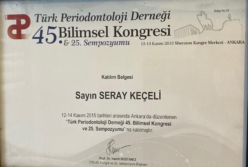 Seray Keçeli Onat-5