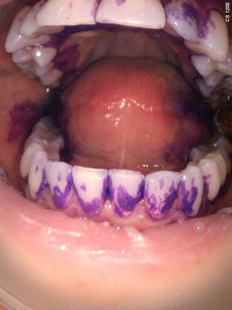 Paulina Rożnawska-4