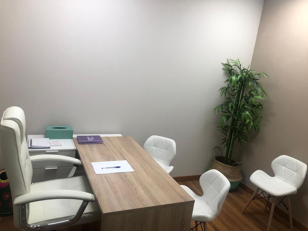 Sheila Rodriguez Fernandez-11