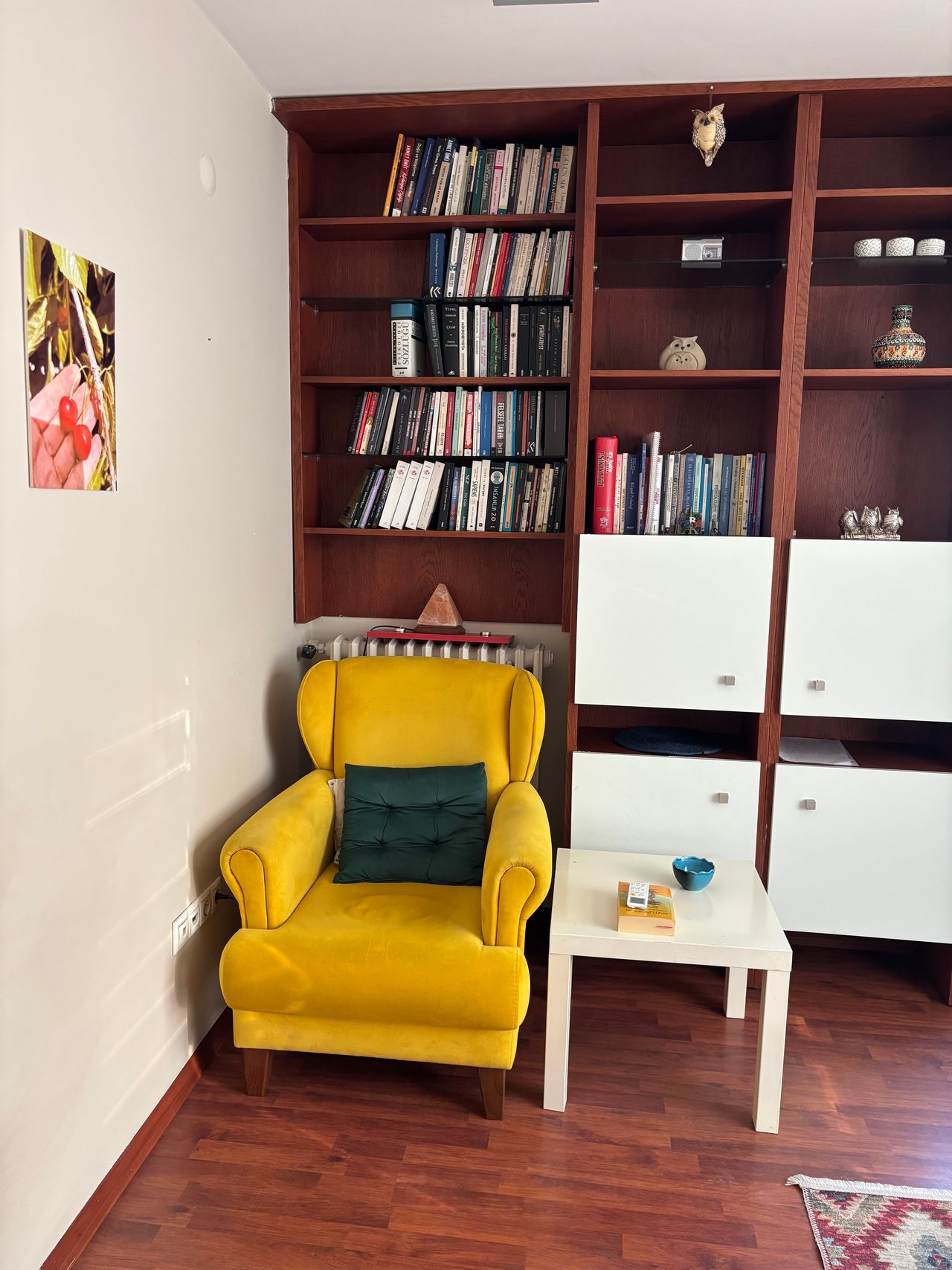 Murat Sabancı-3