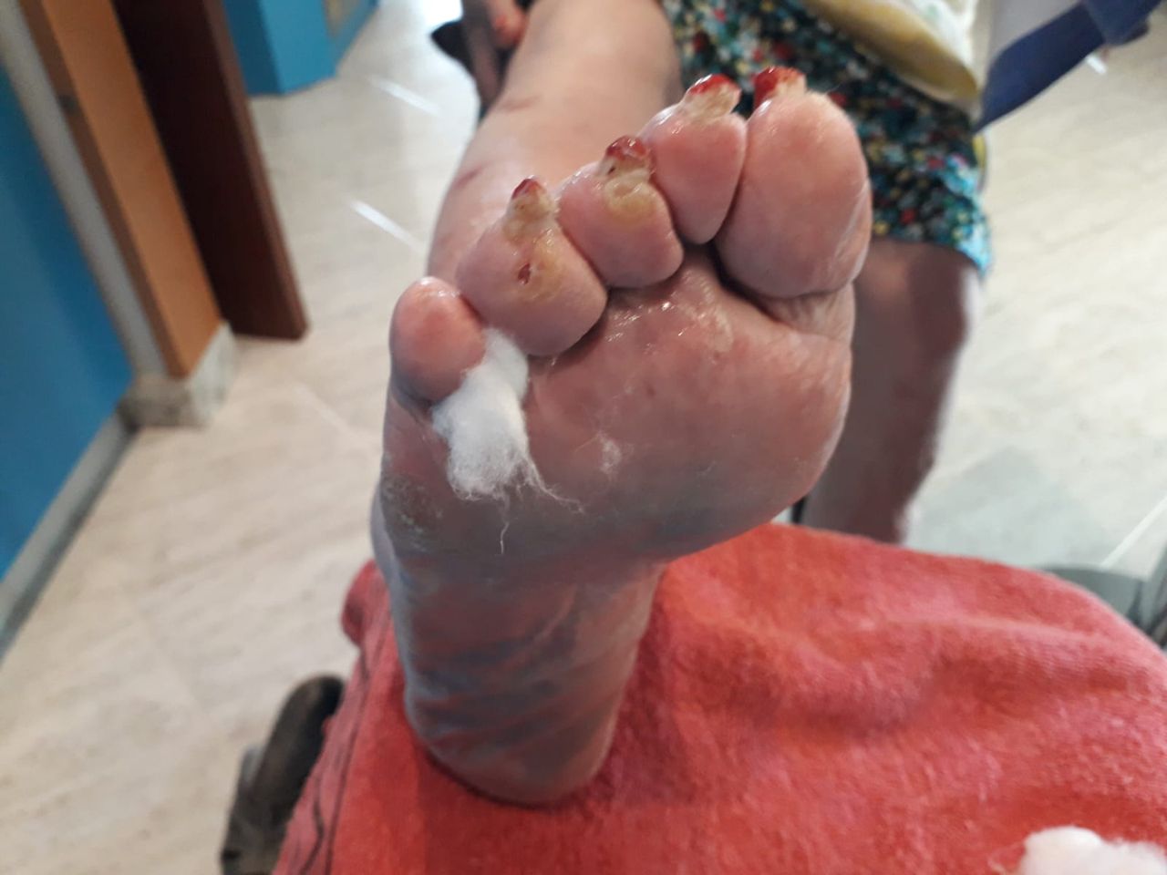 Kassandra Nicolosi-211