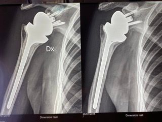 Francesco Augusto Lagrasta-6