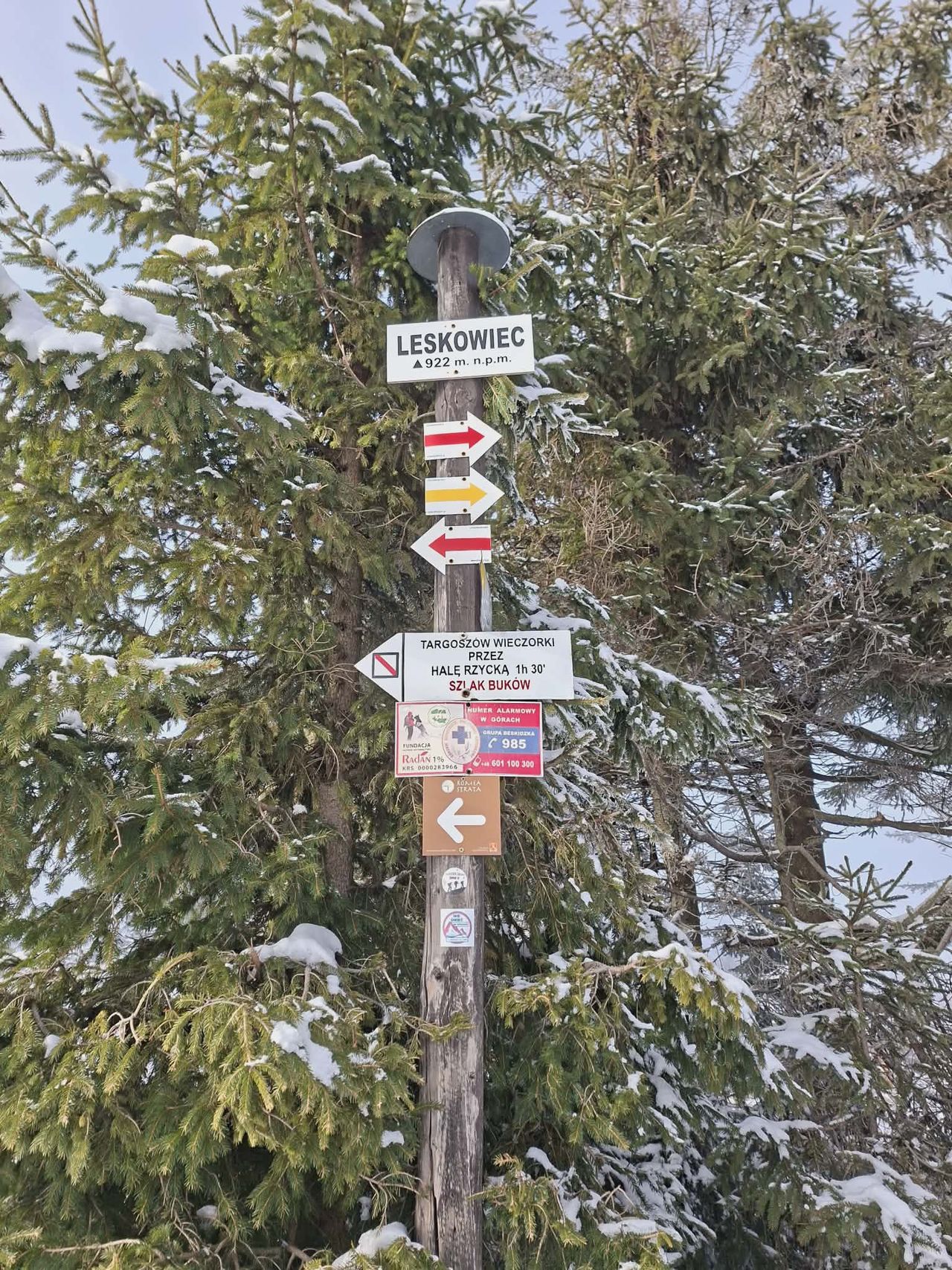 Barbara Hebenstreit-12