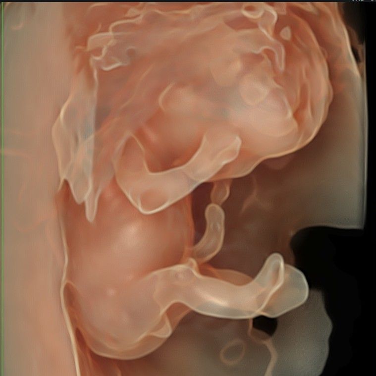 Katarzyna Mikołajczyk-1