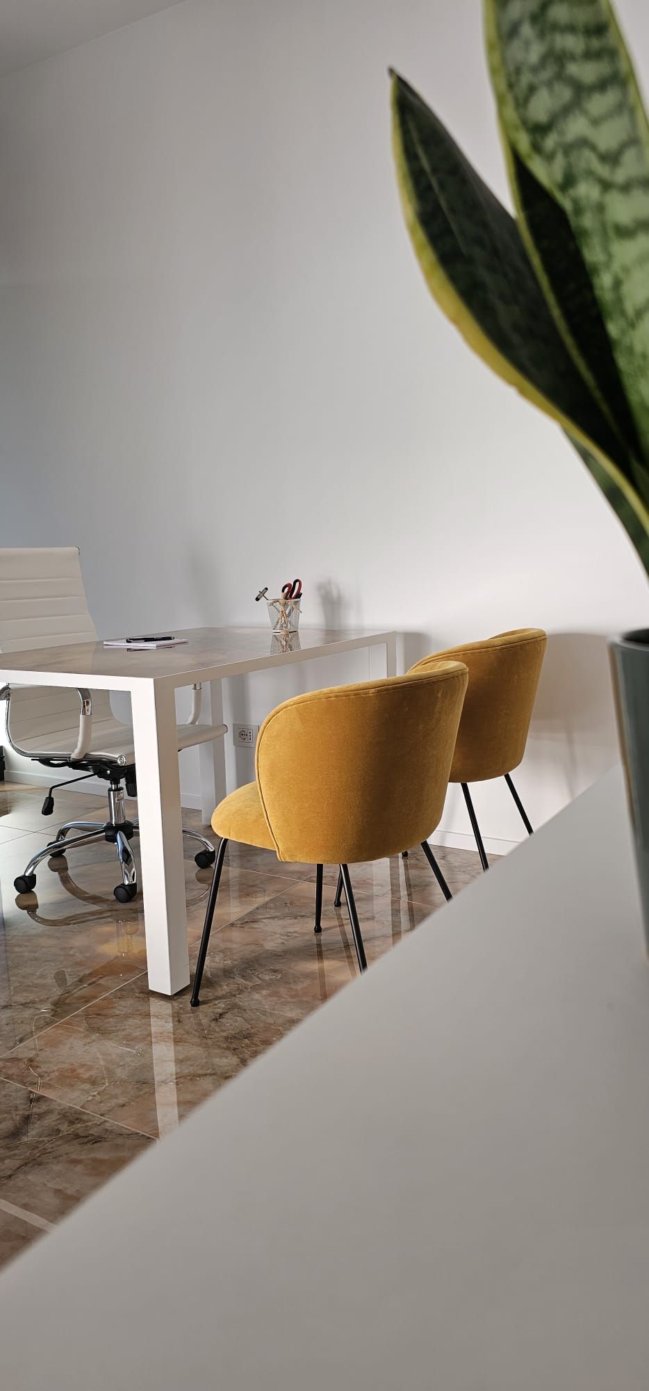 Alessandro Mazzapicchi-0