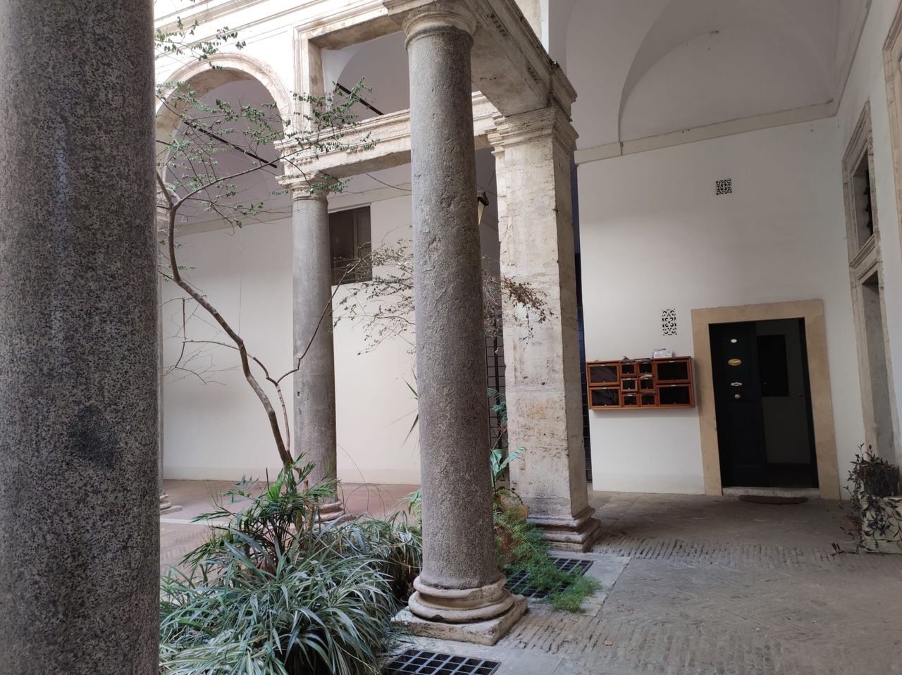 Maria Rosaria Camerino-0