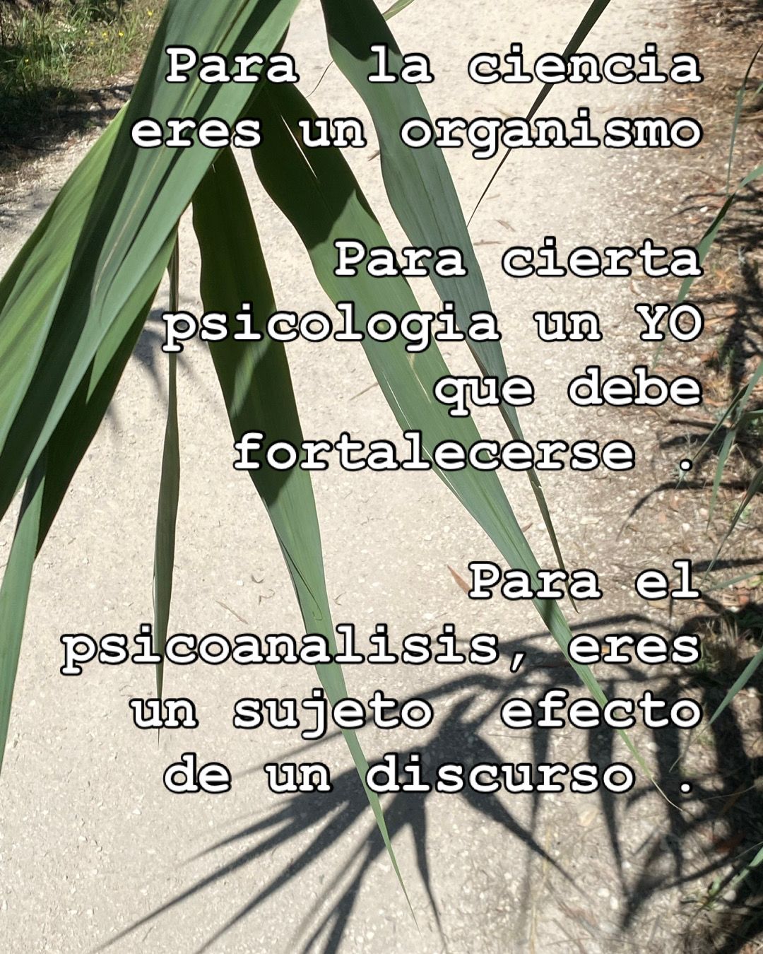 Carmen López Iniesta-4