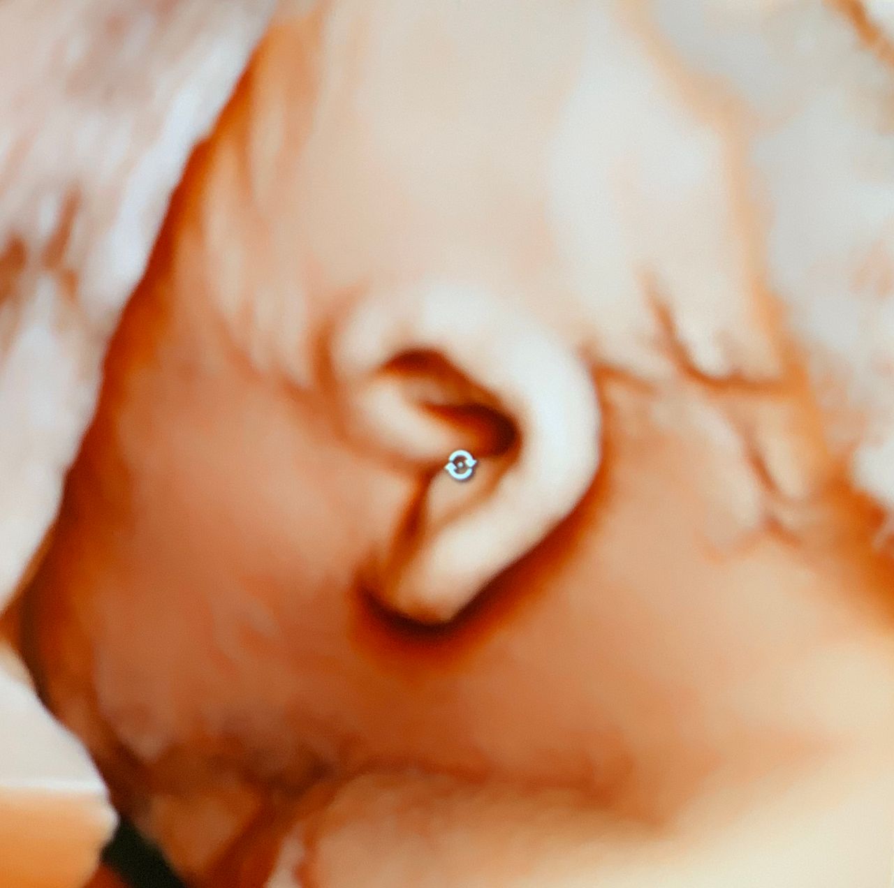 Andrzej Kałamacki-29