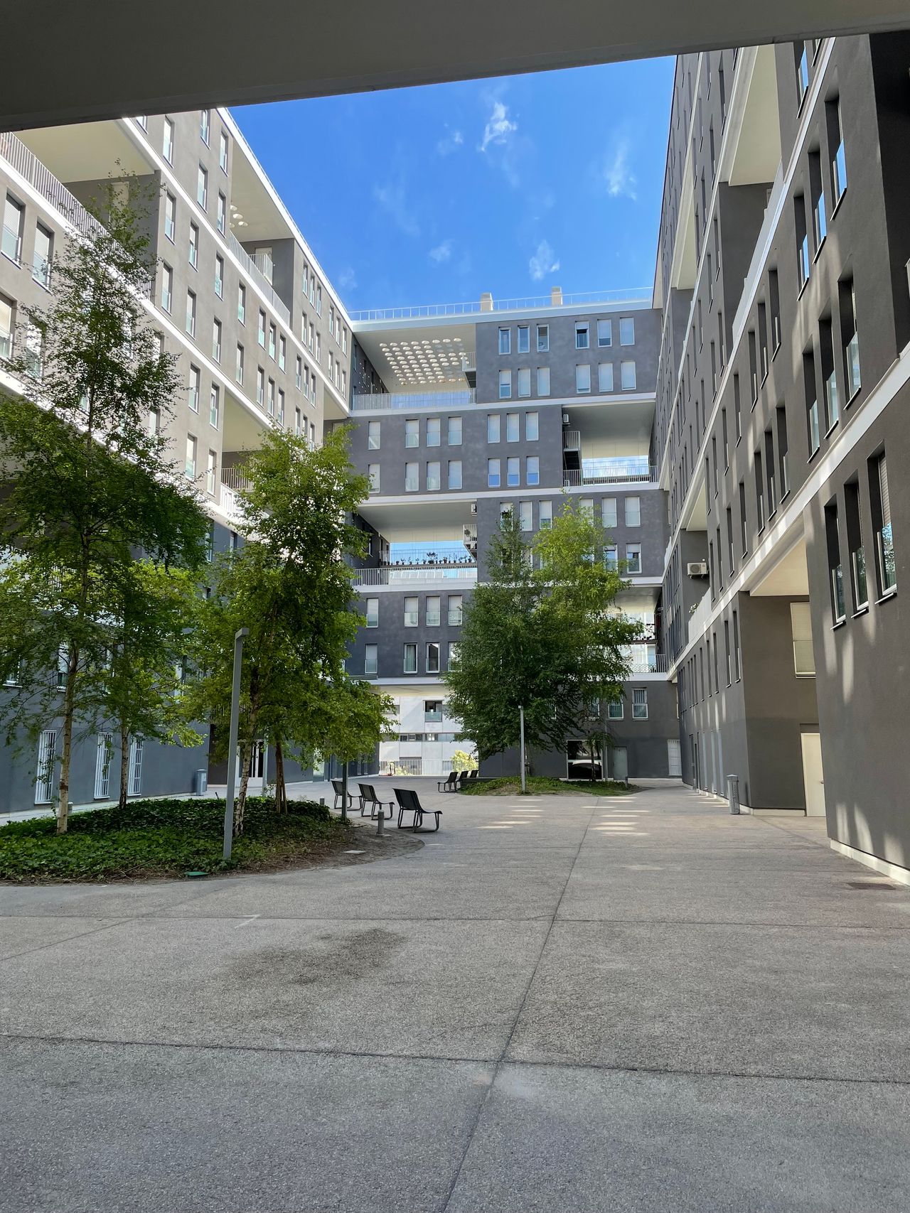 Elbire Arana Iturrarte-4