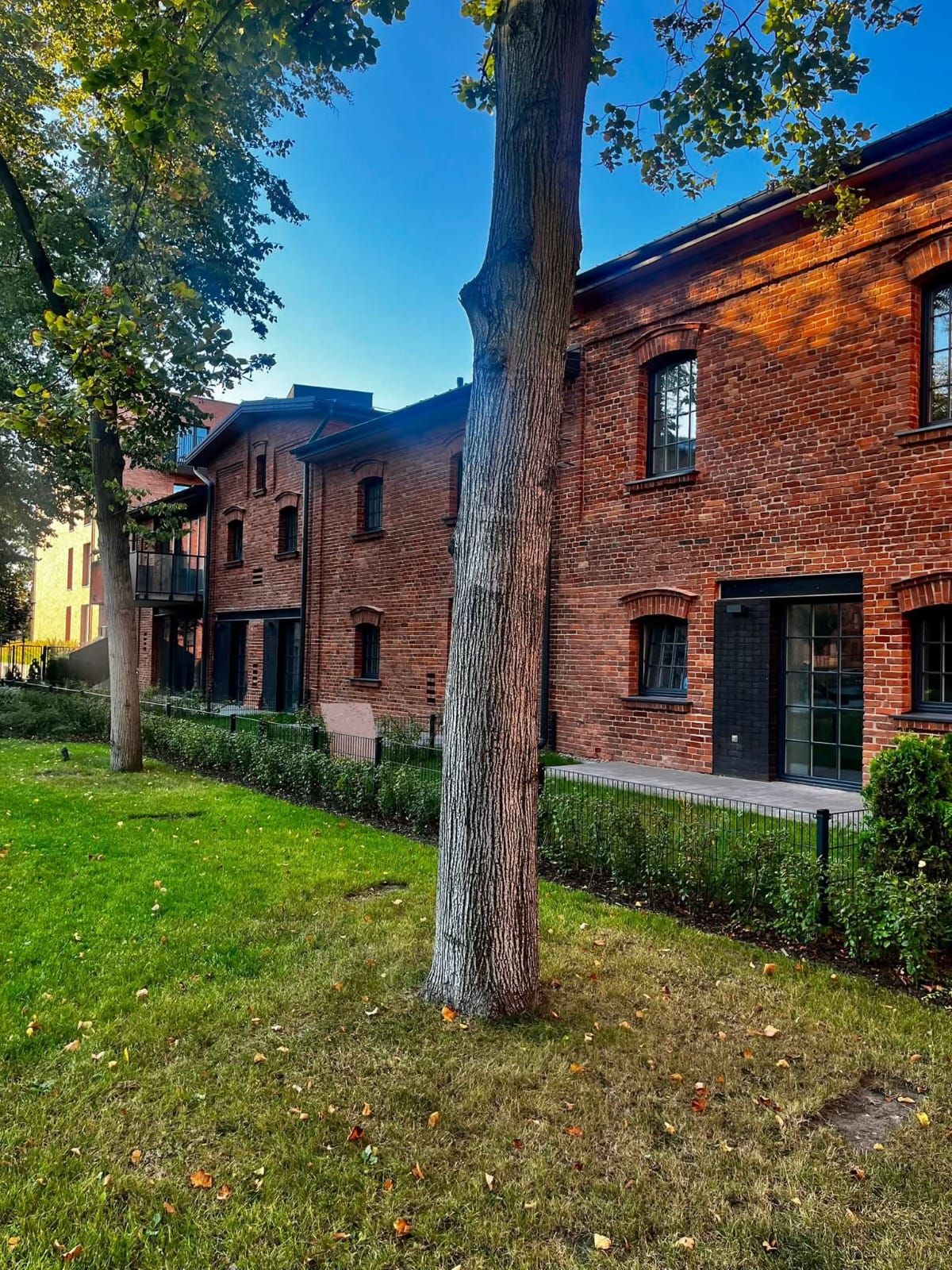 Katarzyna Aleksandrzak-2